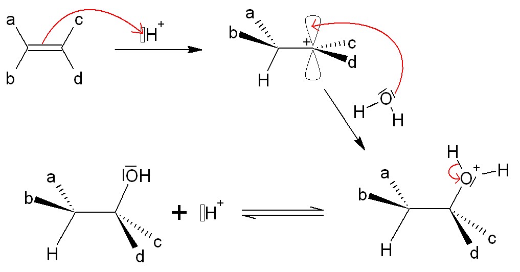 hydratation